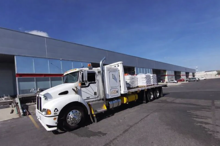 ChatGPT Image 28 ene 2026, 02_03_34 p.m.